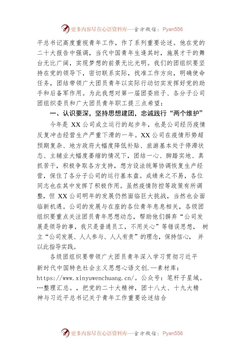 公司共青团第一次代表大会领导讲话稿.docx_第2页