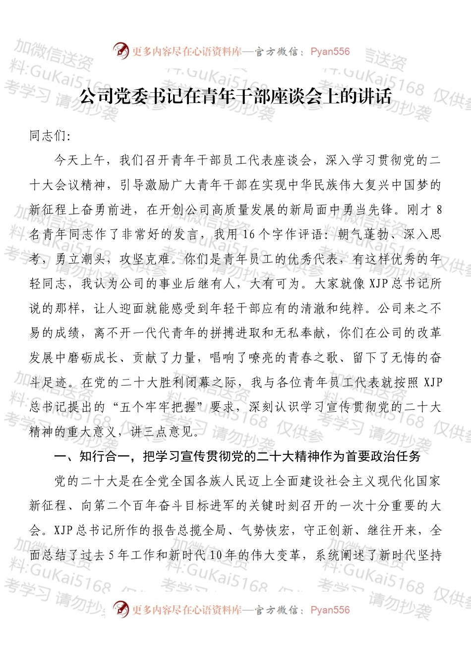 公司党委书记在青年干部座谈会上的讲话 (1).docx_第1页