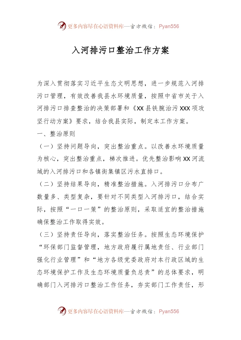 入河排污口整治工作方案.docx_第1页