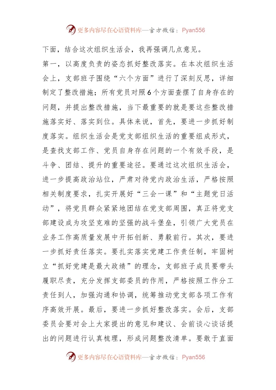 党组织书记在202X年度的组织生活会上的总结表态发言提纲.docx_第2页