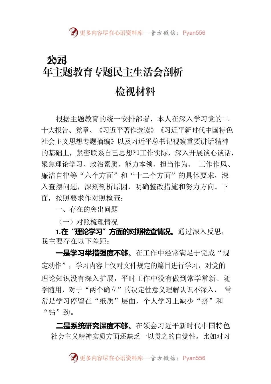 公司2023年主题教育专题民主生活会剖析检视材料.docx_第1页
