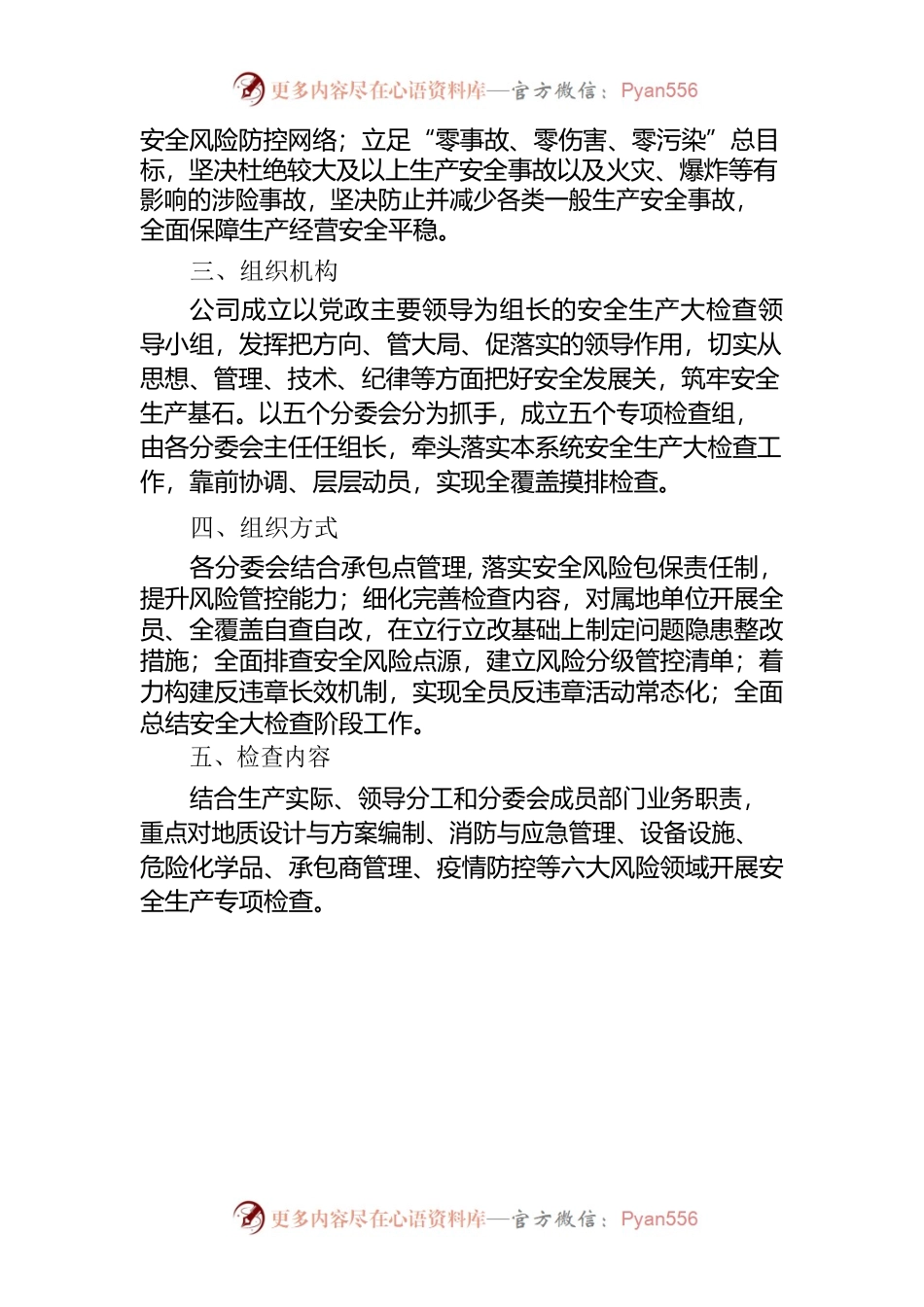 公司安全生产大检查实施方.docx_第2页