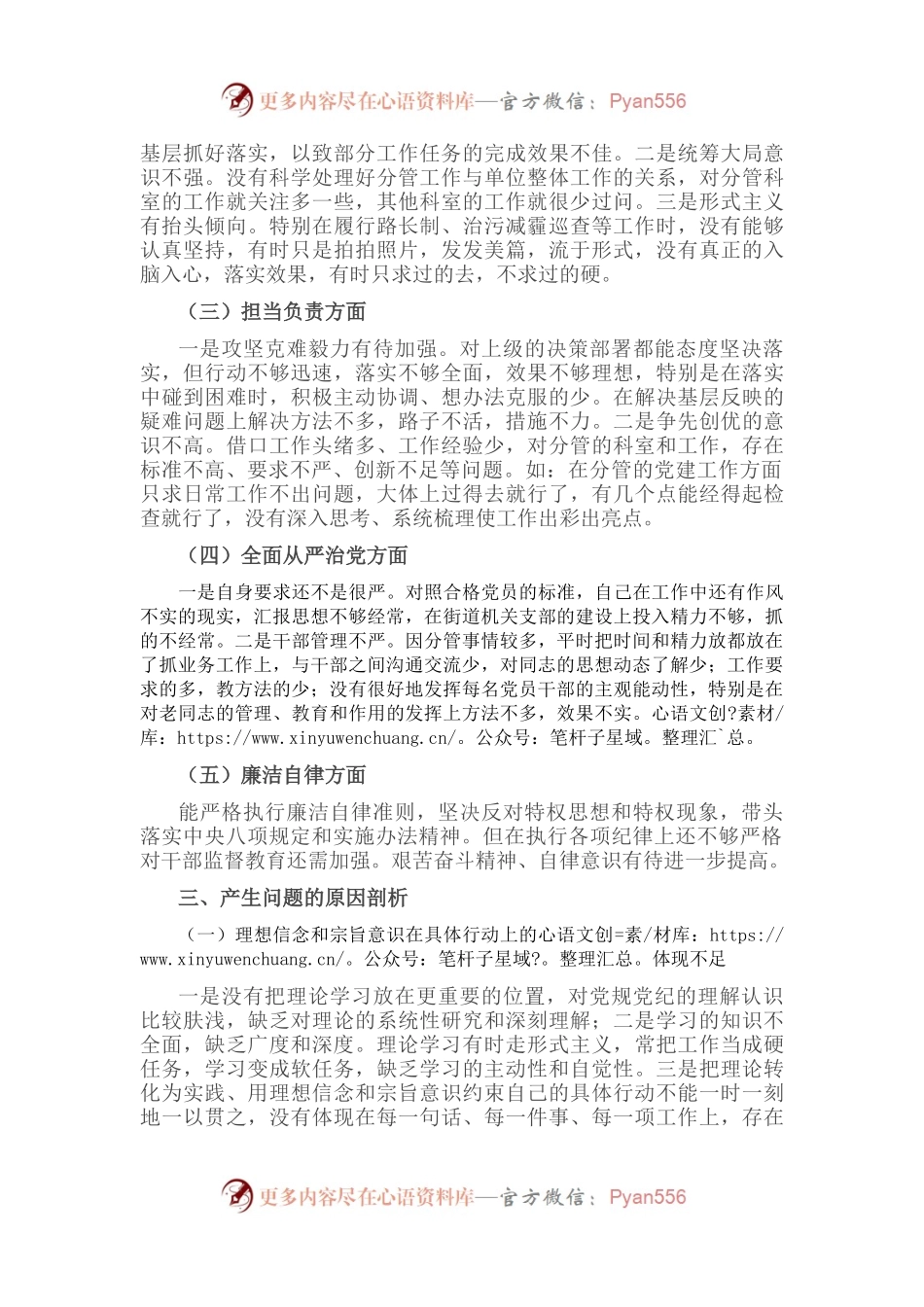 党员领导干部“严守纪律规矩，加强作风建设”对照检查材料.docx_第2页