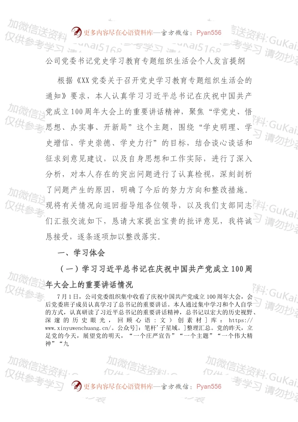 公司党委书记党史学习教育专题组织生活会个人发言提纲.docx_第1页