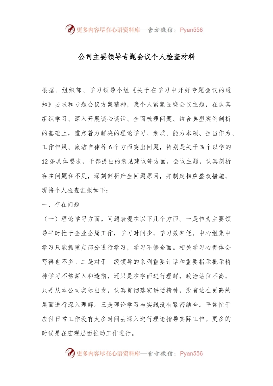 公司主要领导专题会议个人检查材料.docx_第1页