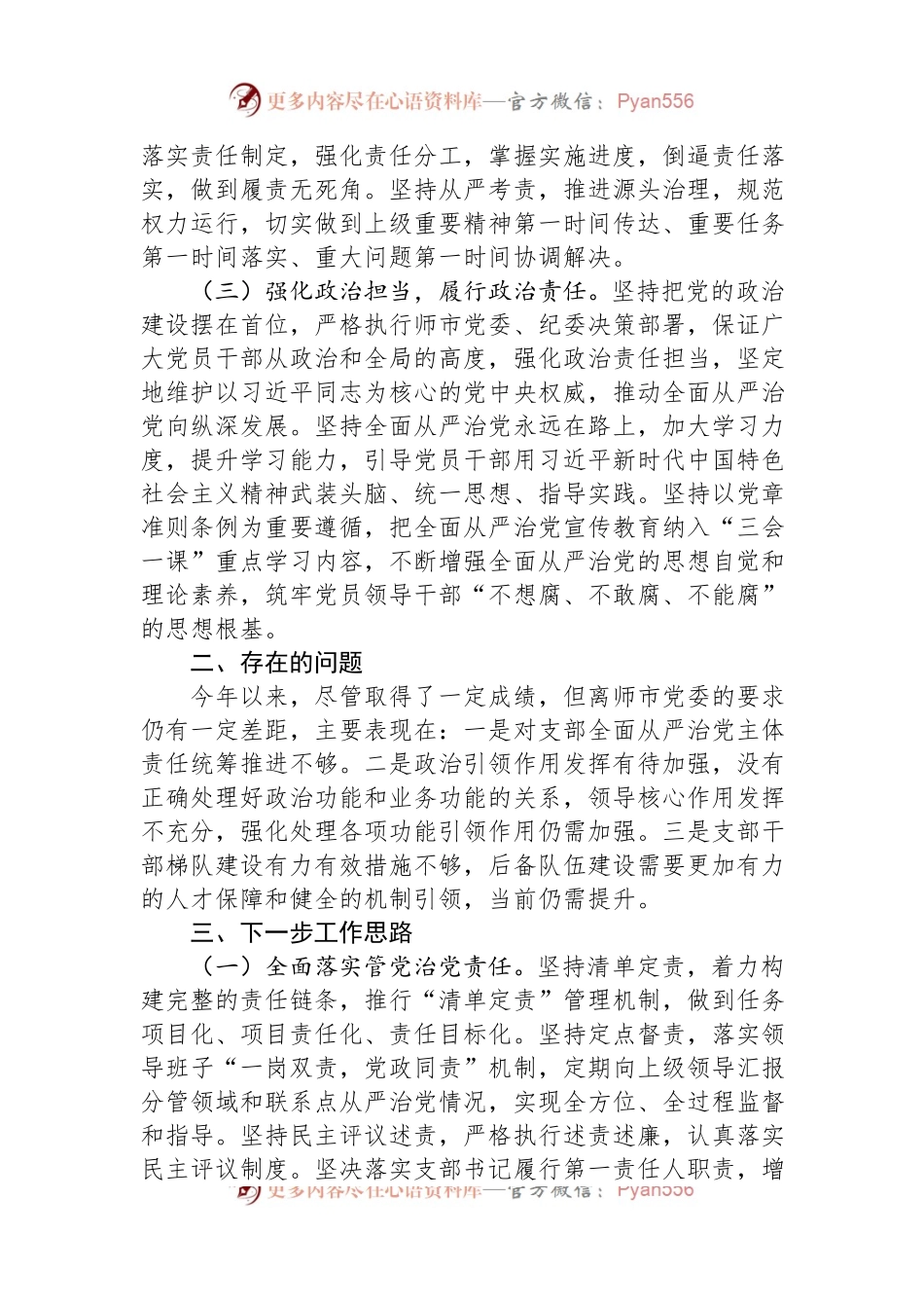 党支部书记半年履行全面从严治党第一责任人责任情况报告.docx_第2页
