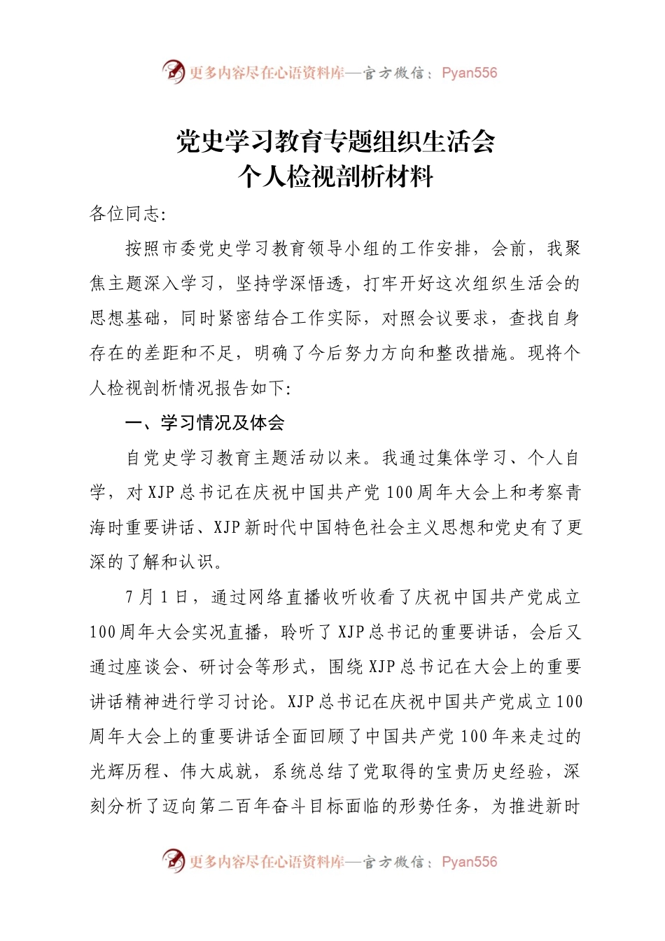 党史学习教育专题组织生活会.docx_第1页