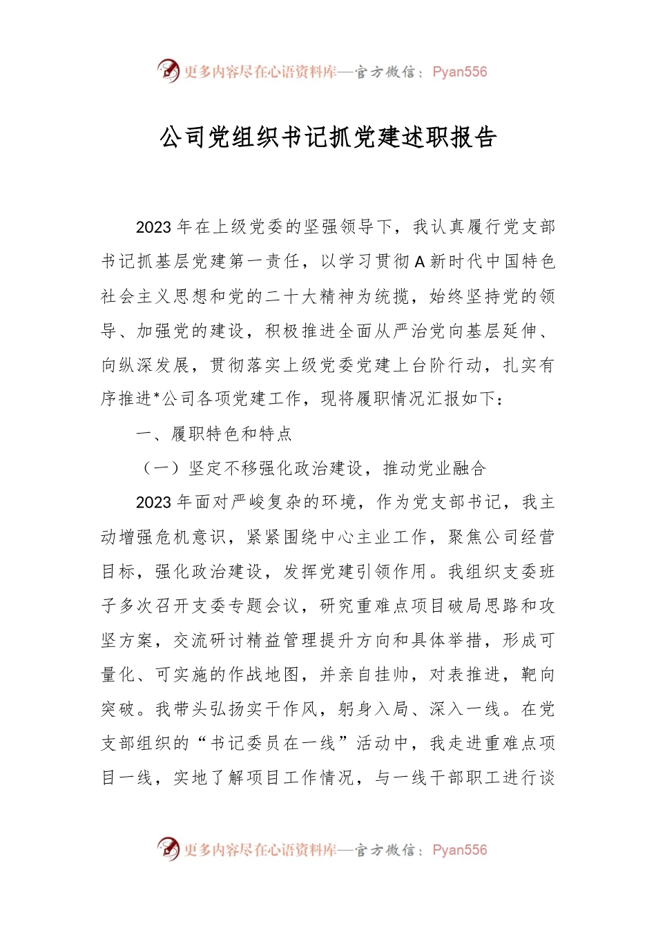 公司党组织书记抓党建述职报告.docx_第1页