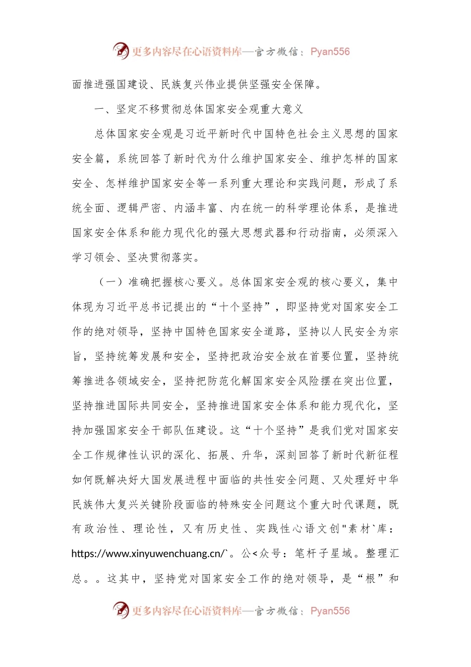 公安部部长王小洪：推进国家安全体系和能力现代化.docx_第2页