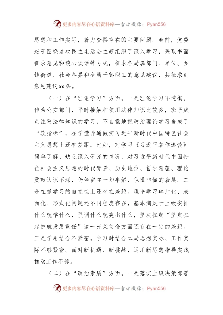 公安局领导班子2023年主题教育专题民主生活会对照检查材料（理论学习等6方面）.docx_第2页