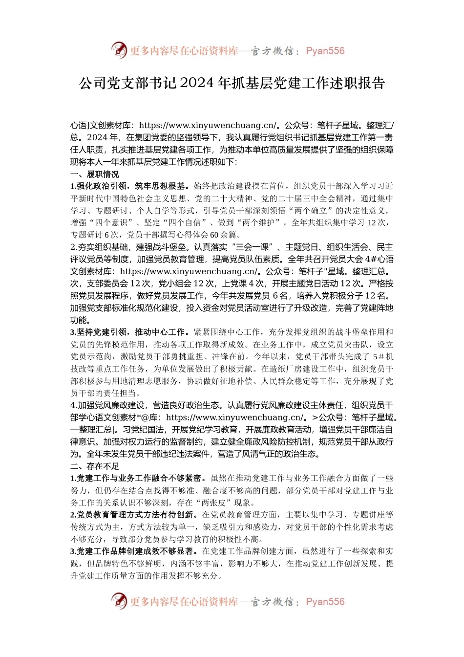 公司党支部书记2024年抓基层党建工作述职报告.docx_第1页