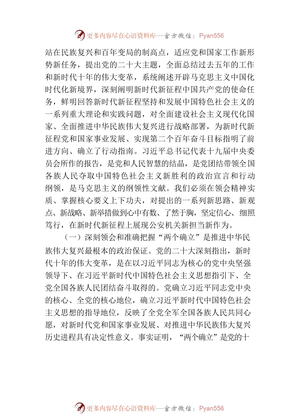 公安局党委书记、局长学习贯彻最新会议精神专题党课讲稿.docx_第2页