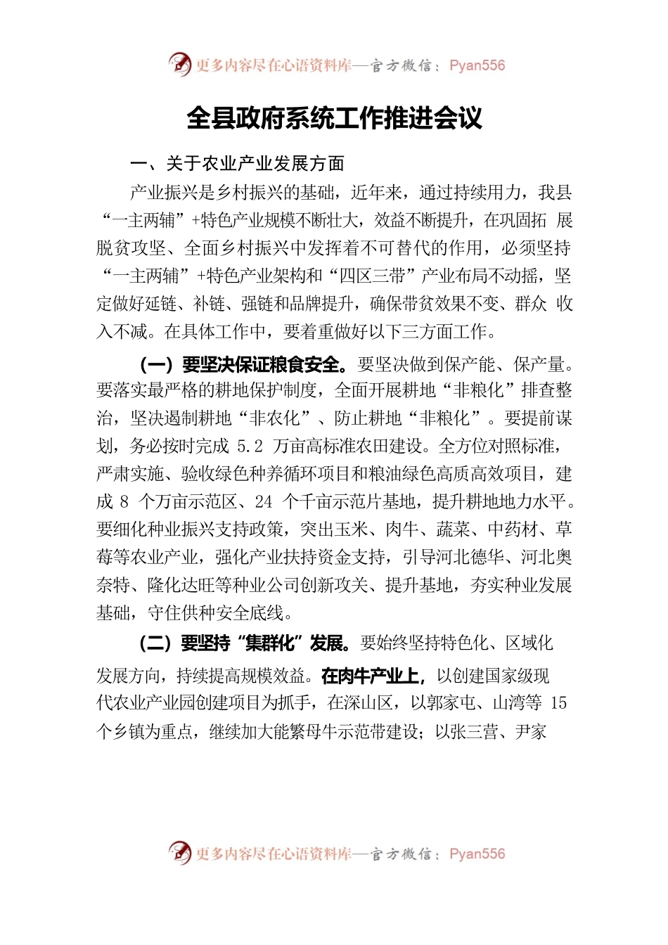 全县政府系统工作推进会议.docx_第1页
