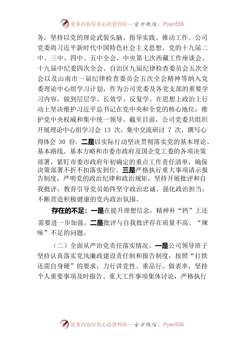 公司政治生态建设分析报告.docx_第2页