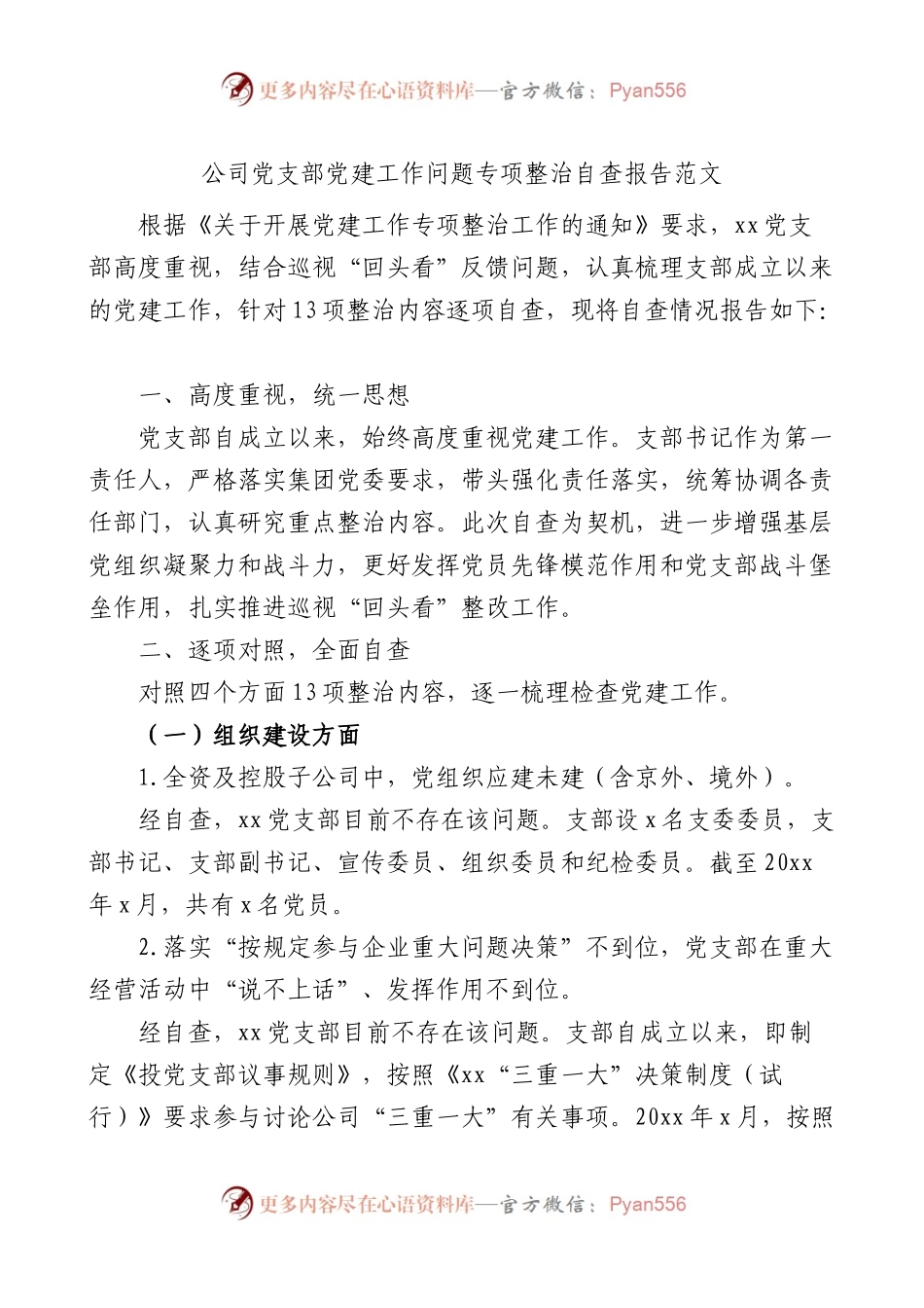 公司党支部党建工作问题整治自查报告集团企业整改总结汇报.docx_第1页