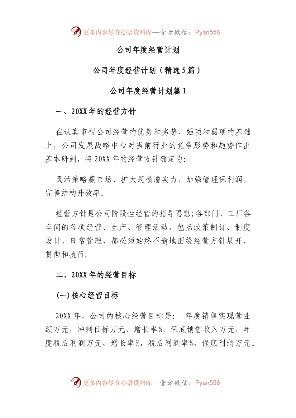 公司年度经营计划.docx_第1页