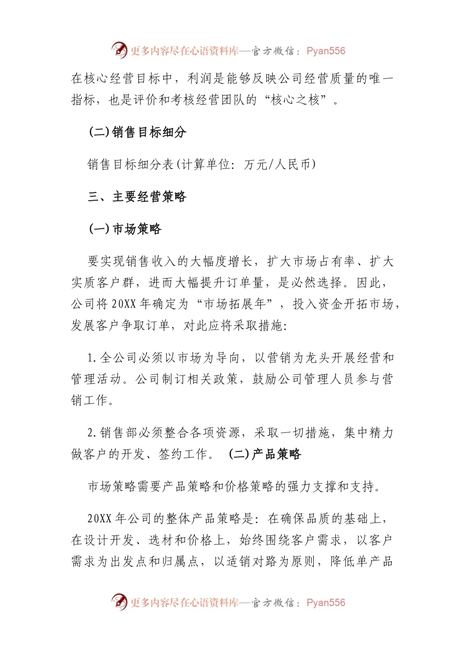 公司年度经营计划.docx_第2页