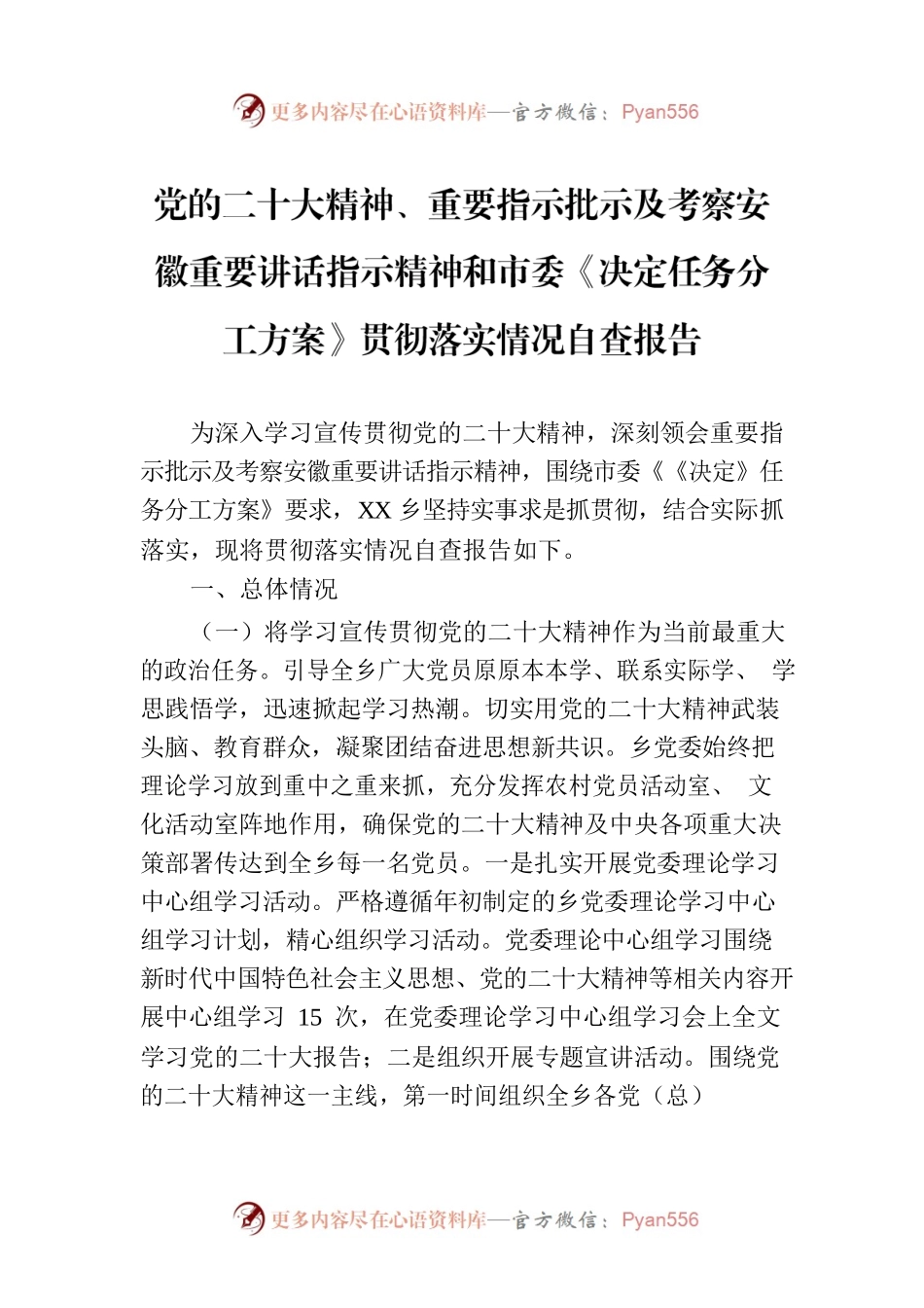 党的二十大精神、重要指示批示及考察安徽重要讲话指示精神和市委《决定任务分工方案》贯彻落实情况自查报告.docx_第1页