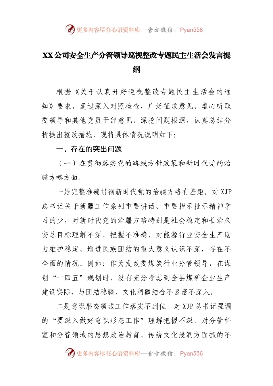 公司巡视整改专题民主生活会个人对照检查发言提纲.docx_第1页