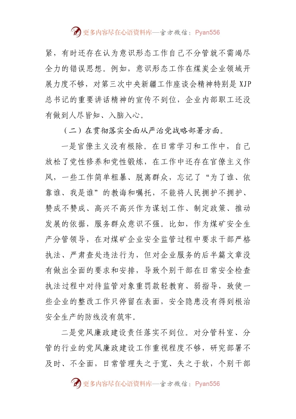 公司巡视整改专题民主生活会个人对照检查发言提纲.docx_第2页