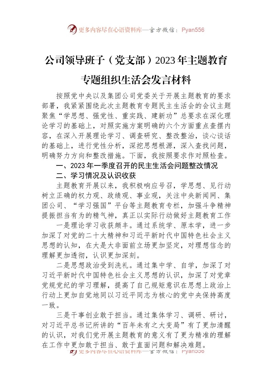 公司领导班子（党支部）2023年主题教育专题组织生活会发言稿材料.docx_第1页