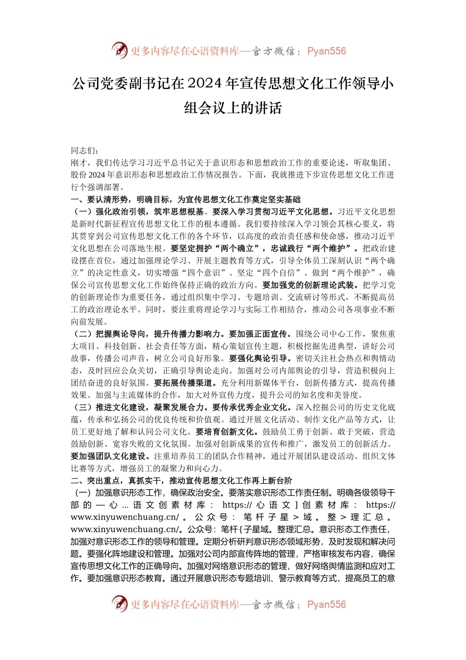 公司党委副书记在2024年宣传思想文化工作领导小组会议上的讲话.docx_第1页