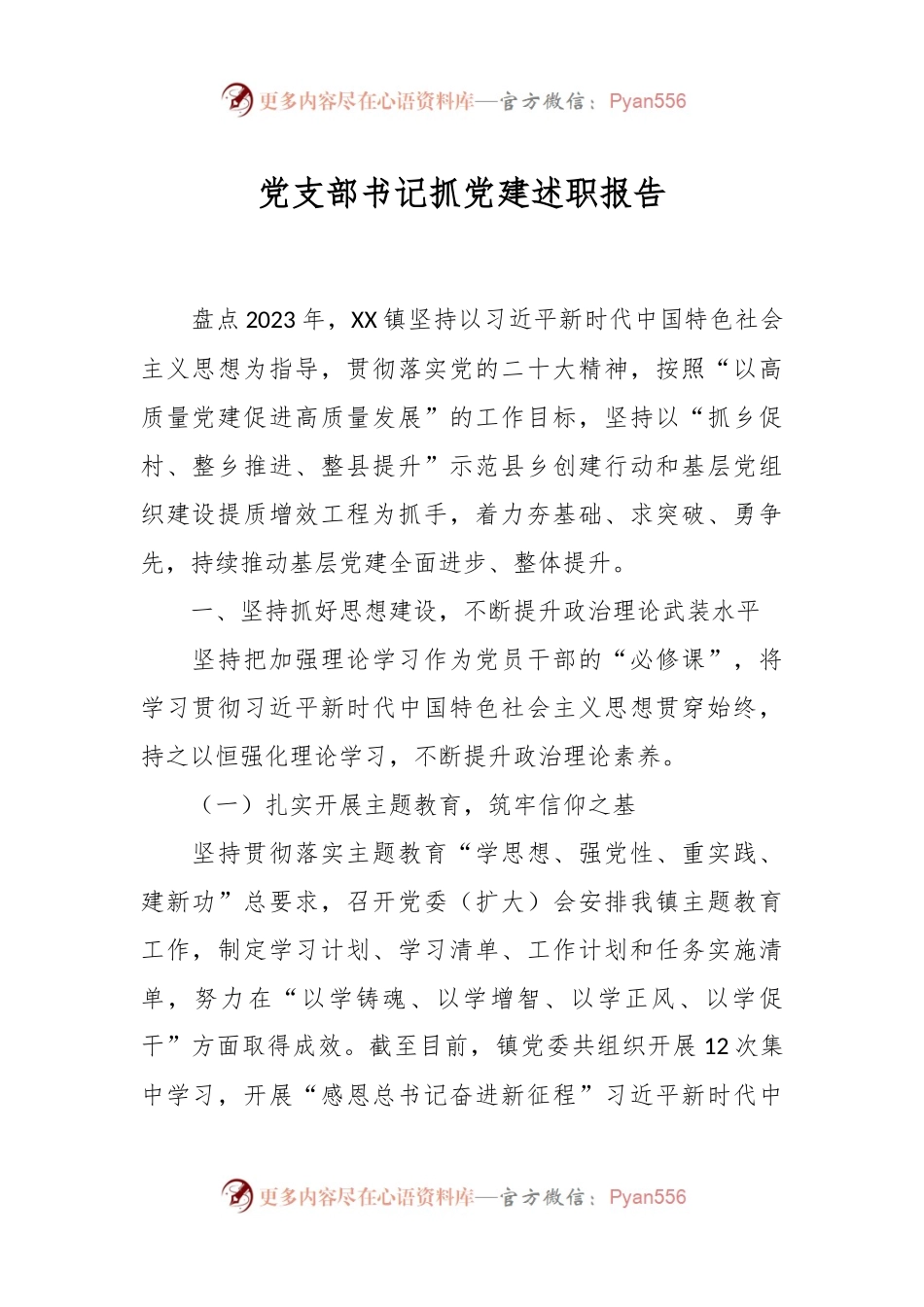 党支部书记抓党建述职报告.docx_第1页