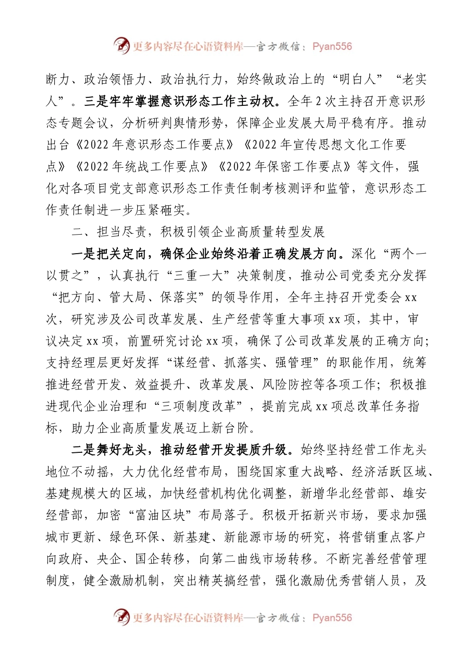 公司党委书记2022年个人述职报告范文.docx_第2页