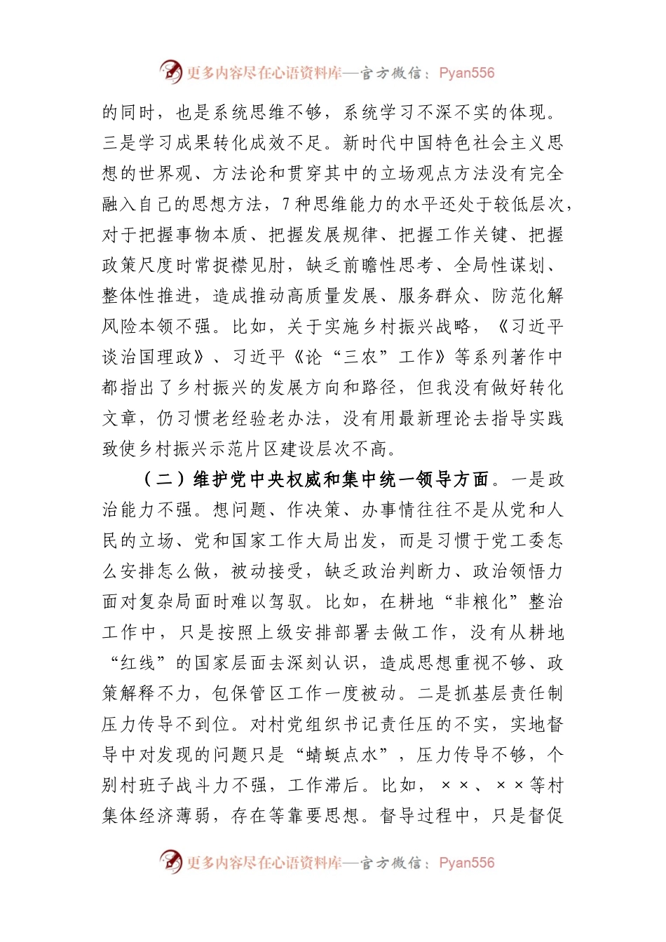 党工委副书记主题教育专题民主生活会发言提纲（践行宗旨等6个方面+典型案例剖析）(1).docx_第2页