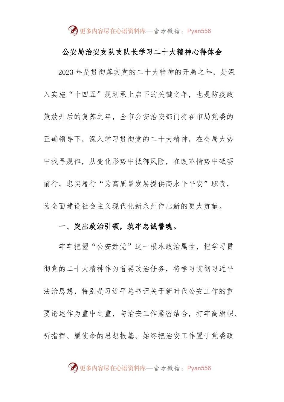 公安局治安支队支队长学习二十大精神心得体会.docx_第1页