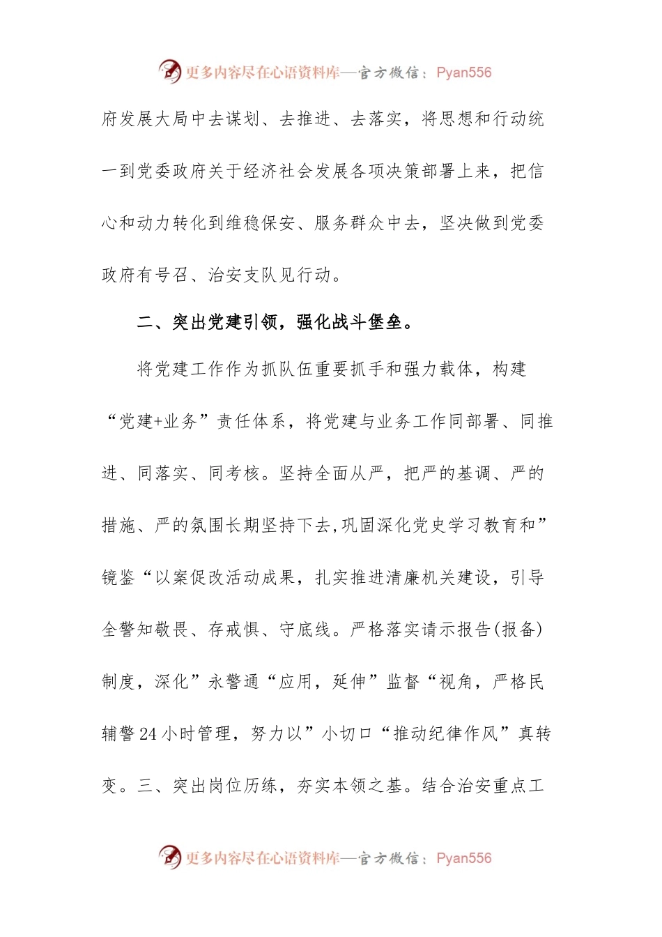 公安局治安支队支队长学习二十大精神心得体会.docx_第2页