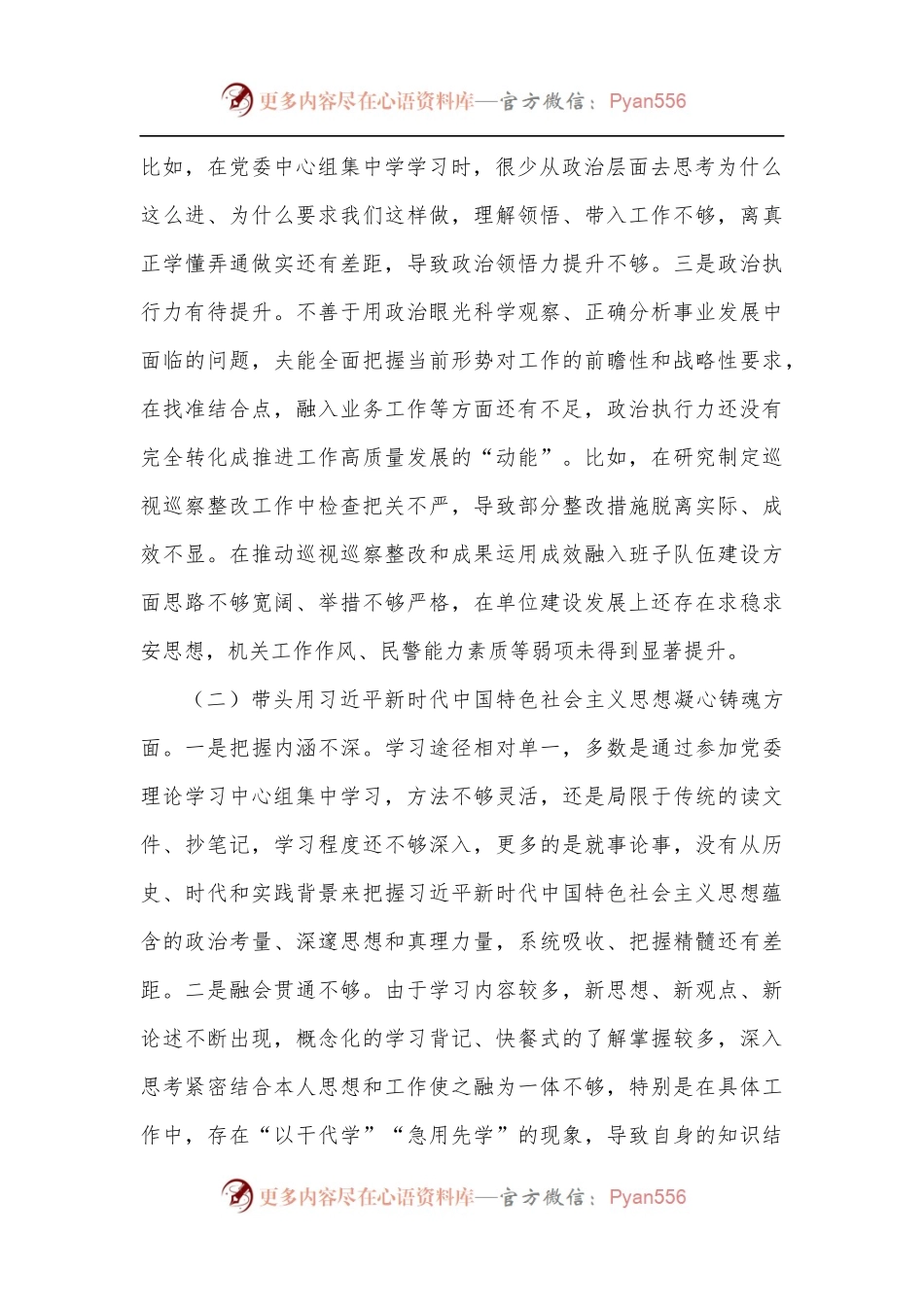 公安局局长2022年度专题民主生活会个人对照检查材料.docx_第2页