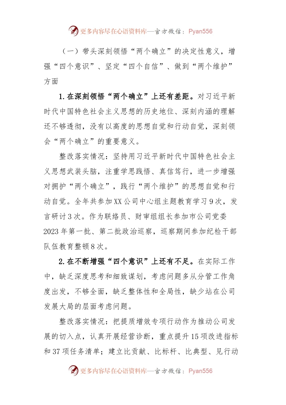 供电公司总会计师2023年主题教育专题民主生活会个人发言稿提纲.docx_第2页