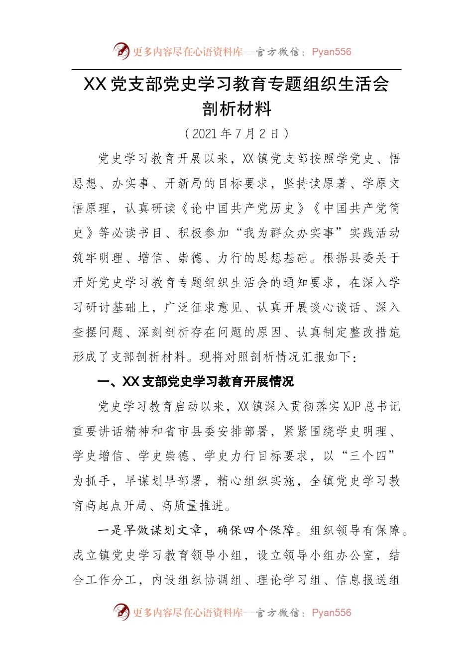 党支部党史学习教育专题组织生活会剖析材料.docx_第1页