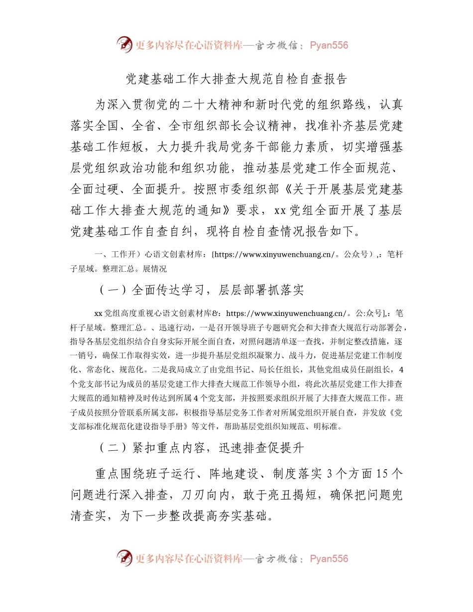 党建基础工作大排查大规范自检自查总结报告4000字.docx_第1页