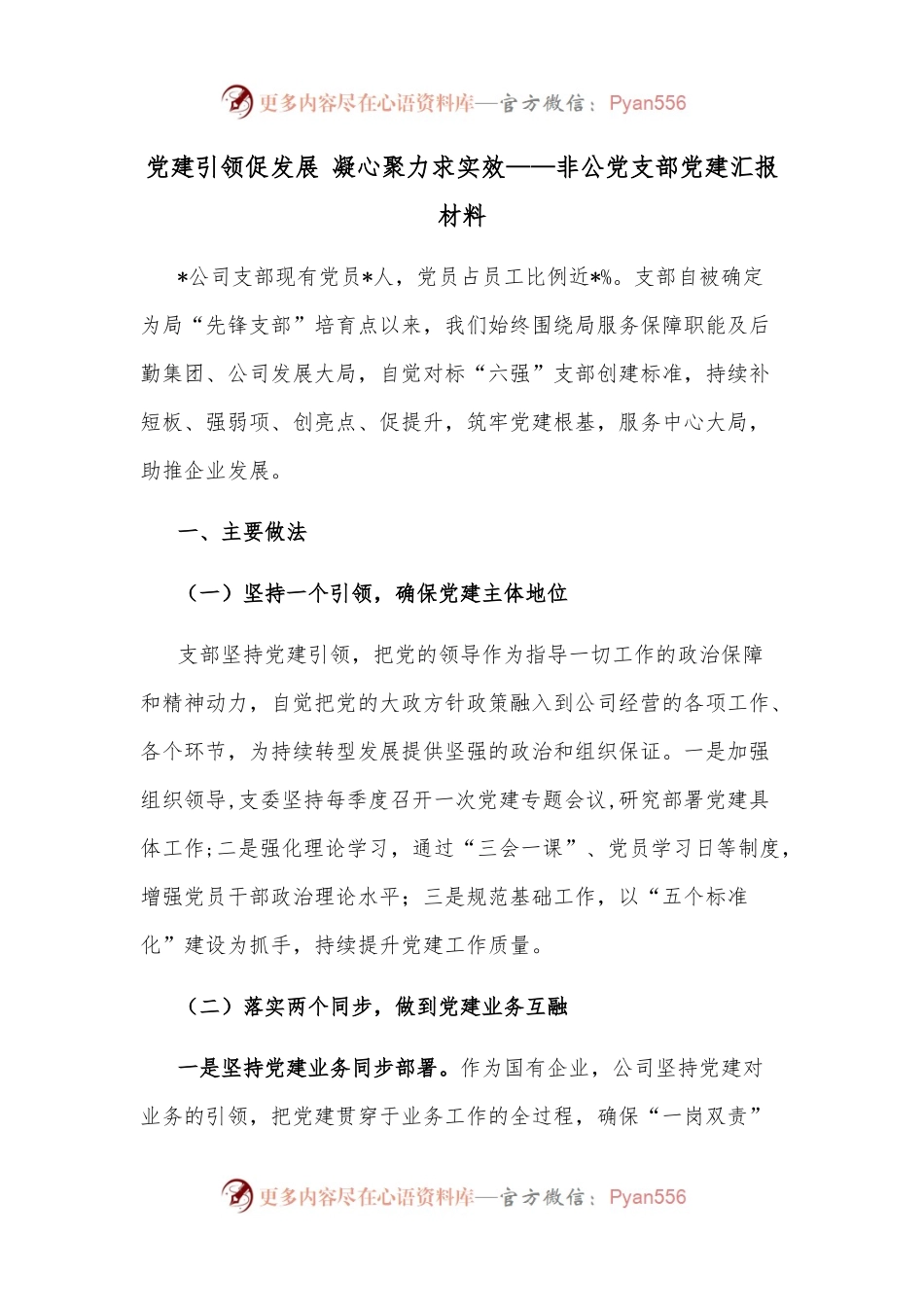 党建引领促发展 凝心聚力求实效——非公党支部党建汇报材料.docx_第1页