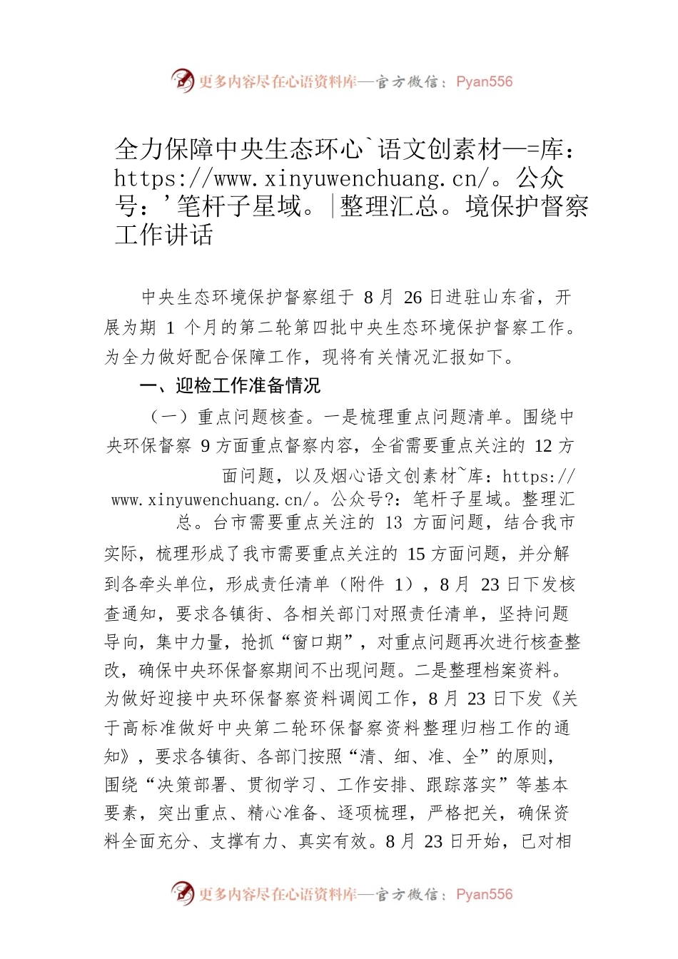 全力保障中央生态环境保护督察工作讲话.docx_第1页