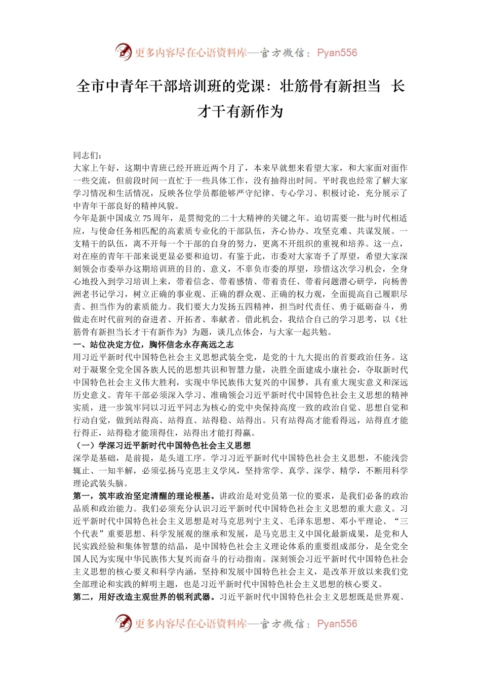 全市中青年干部培训班的党课：壮筋骨有新担当  长才干有新作为.docx_第1页