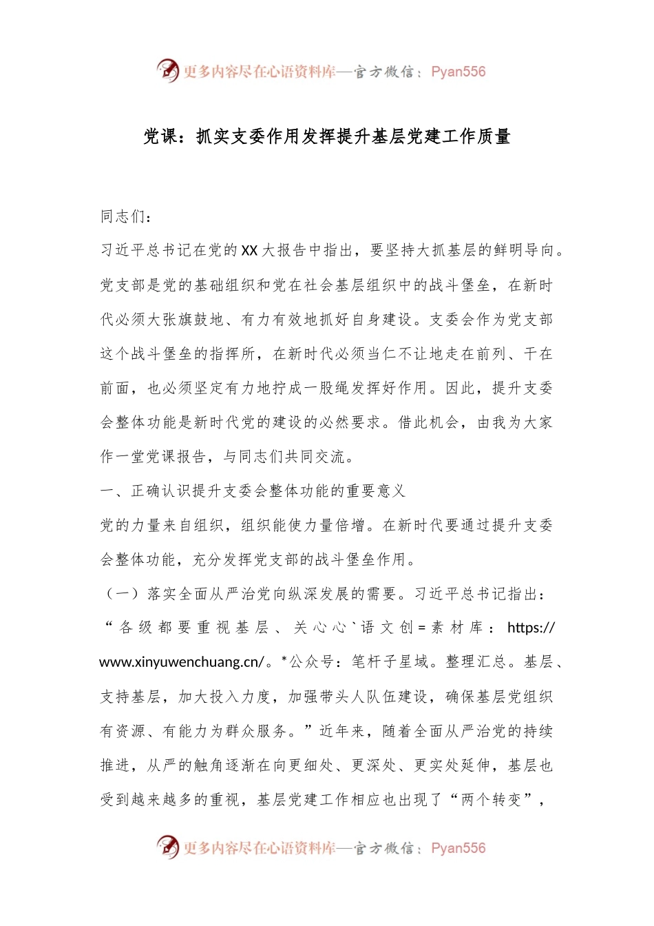 党课：抓实支委作用发挥提升基层党建工作质量.docx_第1页