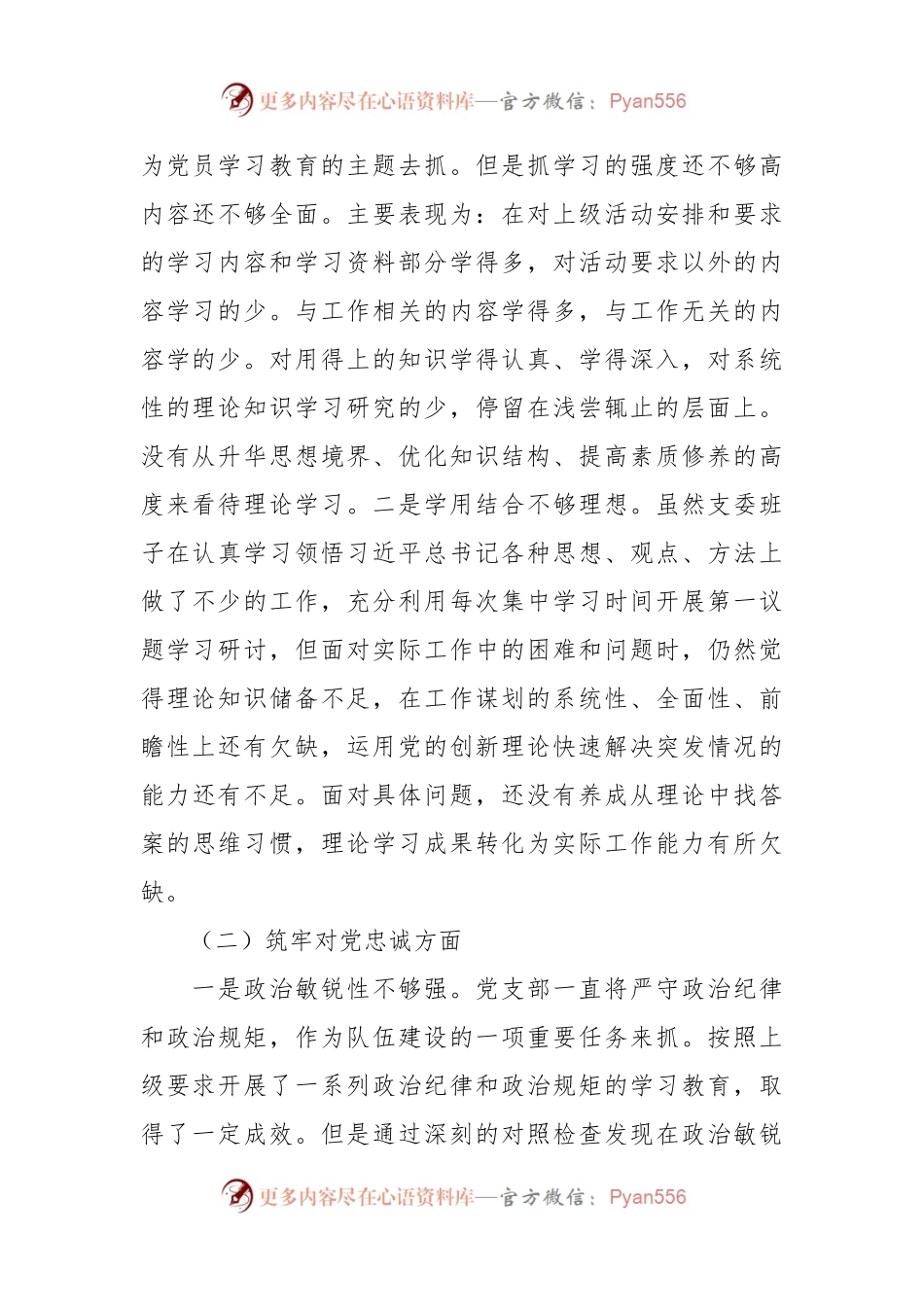党支部主题教育暨教育整顿专题组织生活会对照检查材料.docx_第2页