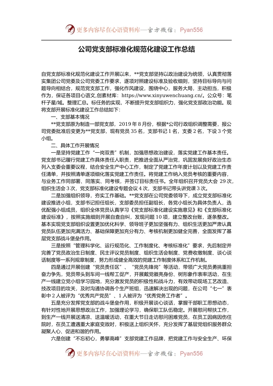 公司党支部标准化规范化建设工作总结.docx_第1页