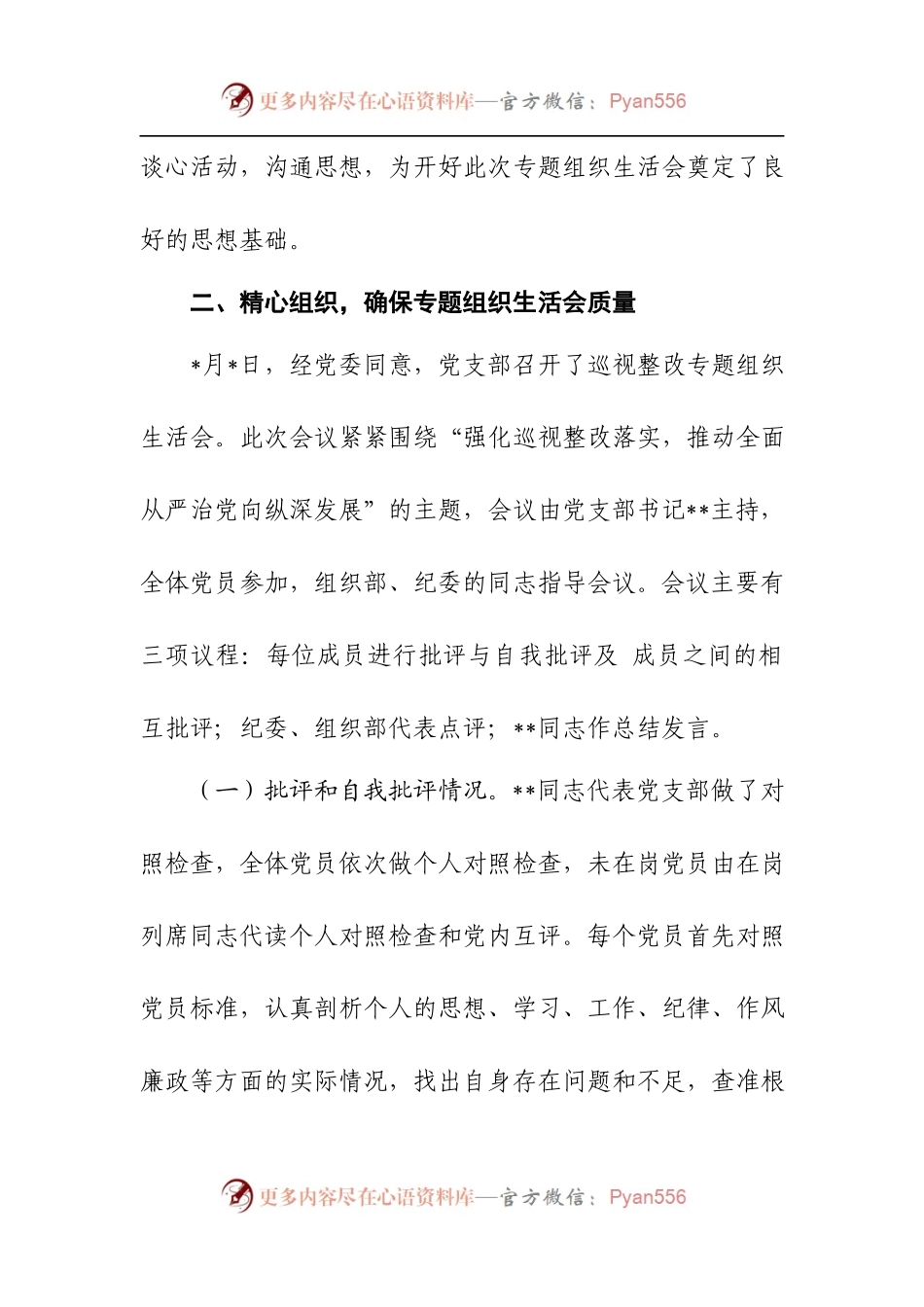 党支部巡视整改专题组织生活会工作总结范文.docx_第2页