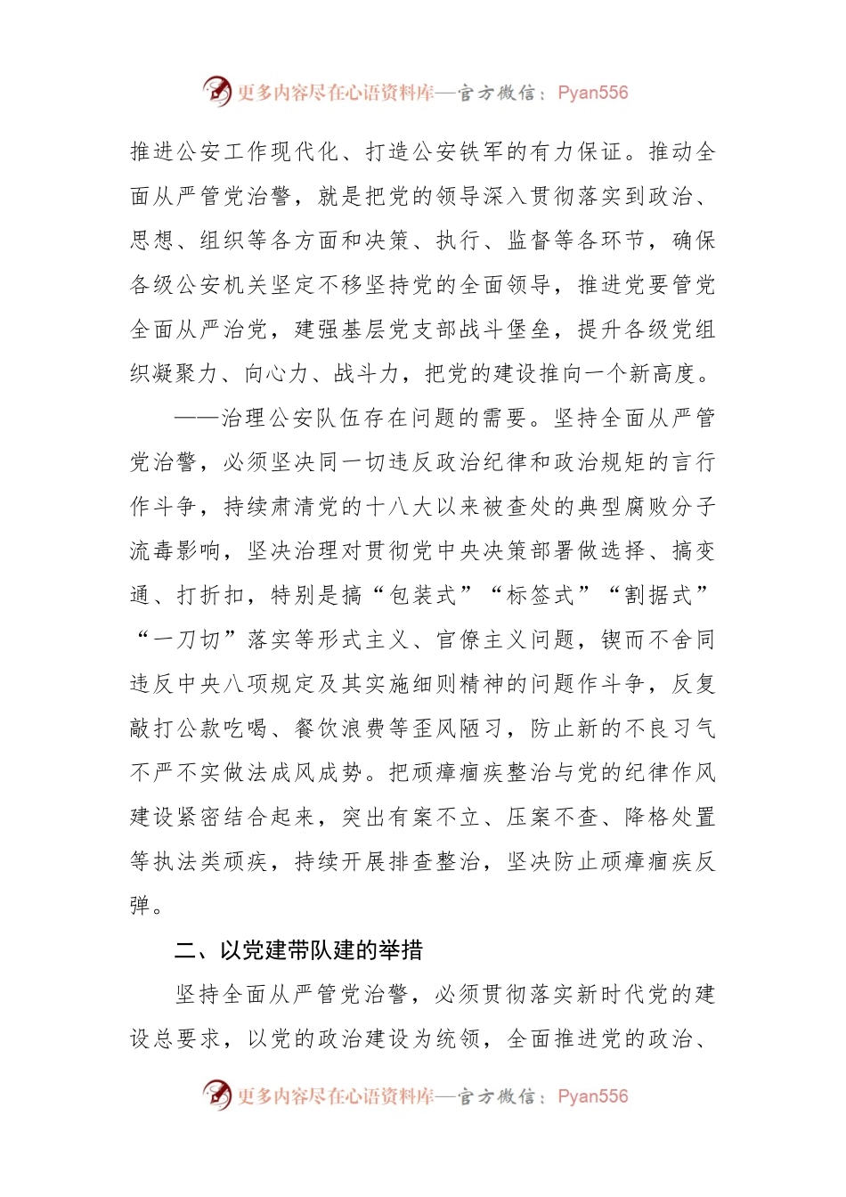 公安党课：以党建带队建，全力铸警魂、锻铁军.docx_第2页