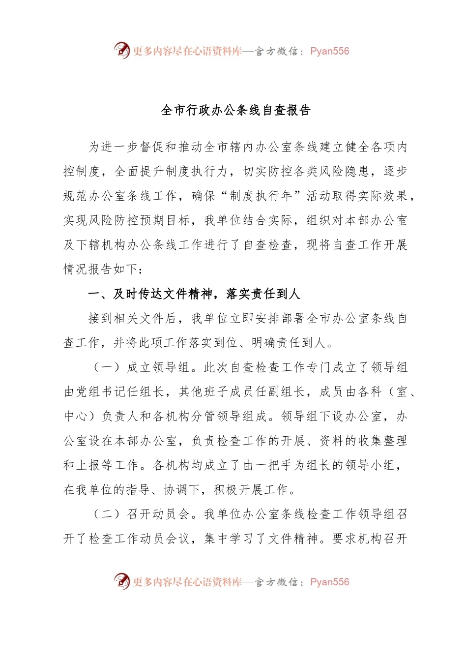 全市行政办公条线自查报告.docx_第1页