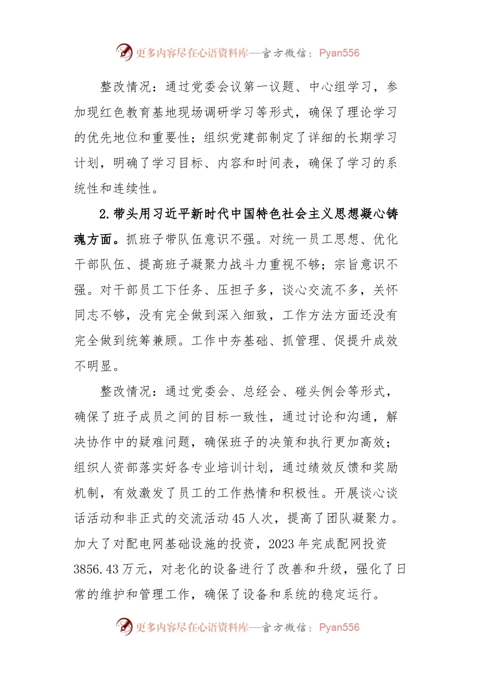 供电公司总经理2023年主题教育专题民主生活会个人发言稿提纲.docx_第2页