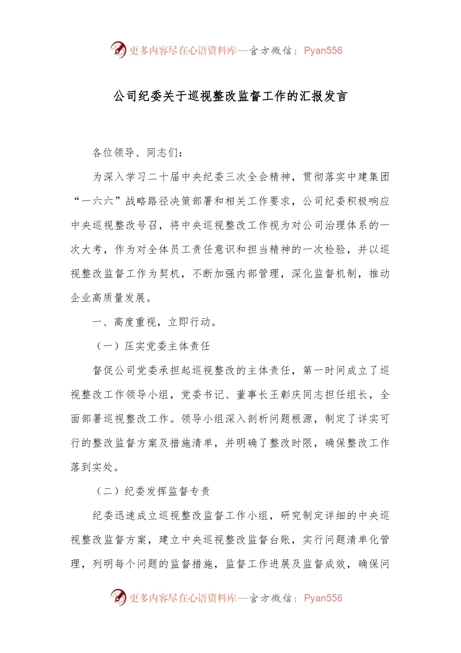 公司纪委关于巡视整改监督工作的汇报发言.docx_第1页