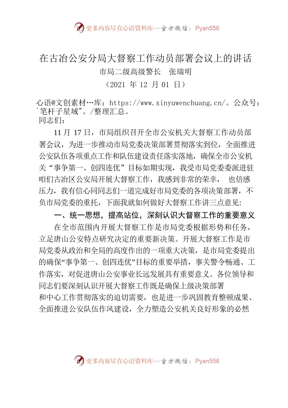 公安分局大督察工作动员部署会议上的讲话.docx_第1页