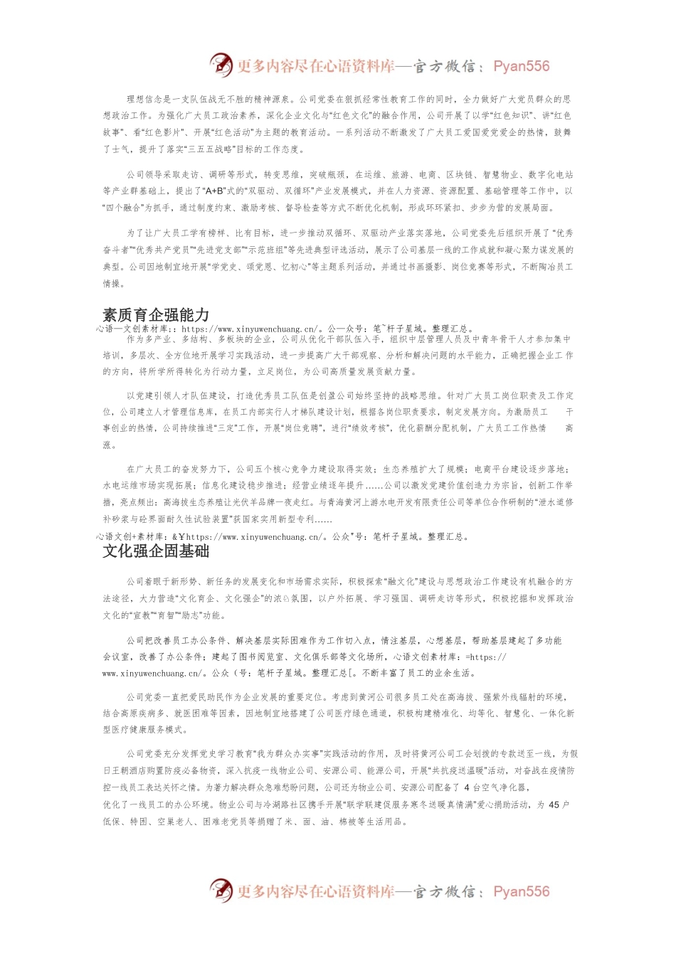 党建引领促发展凝心聚力谱新篇.docx_第2页