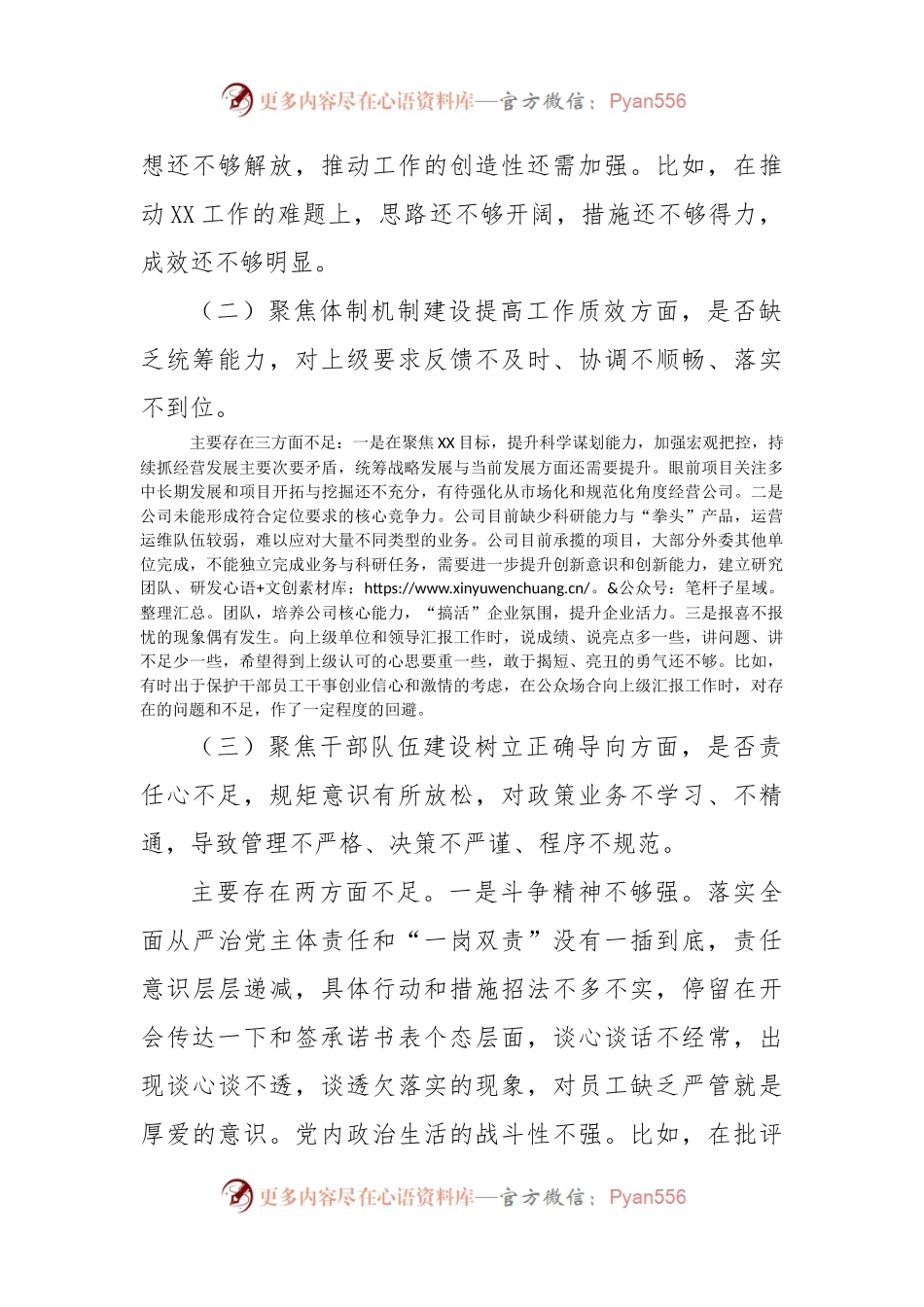 公司领导班子作风整顿专题民主生活会对照检查材料.docx_第2页