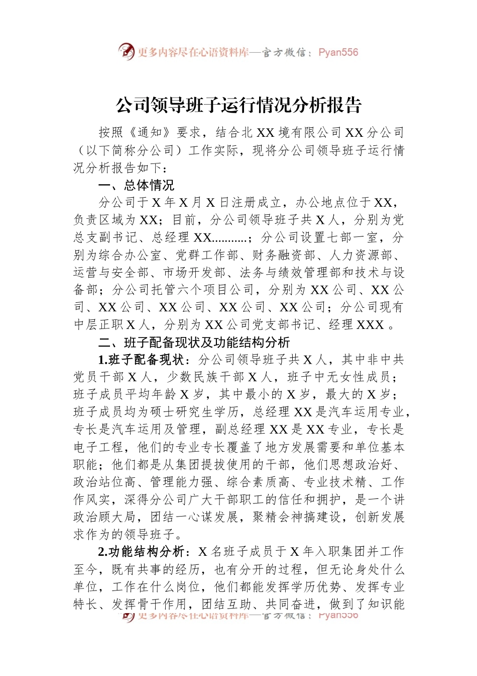 公司领导班子运行情况分析报告.docx_第1页